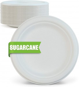 9.5inch Eco-friendly Compostable Biodegradable Disposable Sugarcane Bagasse Pulp Plate Wholesale