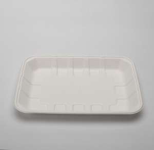 Disposable Biodegradable Rectangular Food Tray Daging Tebu Bagasse Pulp Molded Tray