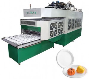 LD-12-1560 Machine de fabrication de vaisselle en bagasse de canne à sucre Thermocol entièrement automatique