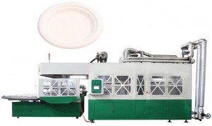 LD-12-1560 Fully Automatic Free Trimming Punching Thermocol Sugarcane Bagasse Tableware Pulp Molding Disposable Lunch Box Bowl Tray Paper Plate Making Machine