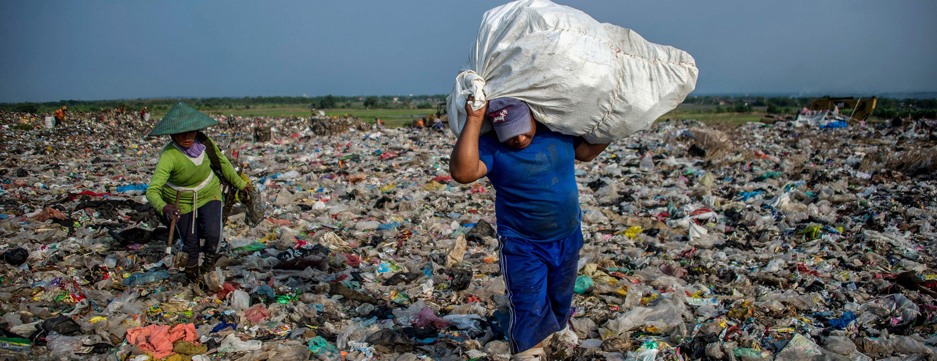 ماحول دوست پیکیجنگ: پلاسٹک کی تبدیلی کے لیے ایک وسیع جگہ ہے، گودا مولڈنگ پر توجہ دیں!