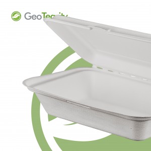 9″ x 6″ ეკოლოგიურად სუფთა შაქრის ლერწმის ბაგასე Takeaway Bento Food Clamshell Lunch Box