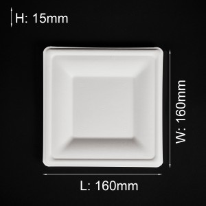 6inch Biodegradable Eco-friendly Sugarcane Bagasse Pulp Molding Disposable Paper Square Plate