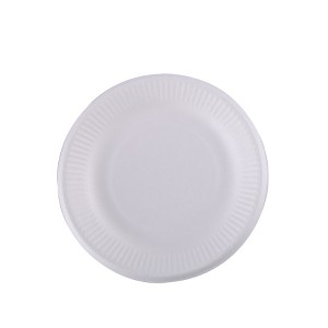 8 ″ Ribbed Plate