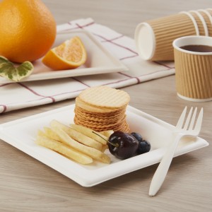 6inch Biodegradable Eco-friendly Sugarcane Bagasse Pulp Molding Disposable Paper Square Plate