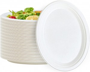 9.5 inci ramah-eco Compostable Biodegradable Disposable Tebu Bagasse Pulp Plate Grosir