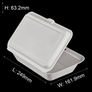 9" x 6" Eco-friendly Sugarcane Bagasse Takeaway Bento Food Clamshell Lunch Box