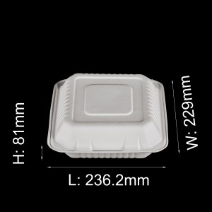 9″ x 9″ Einweg-Lebensmittelbehälter mit 3 Fächern, Zuckerrohr-Bagasse-Clamshell-Bento-Lunchbox