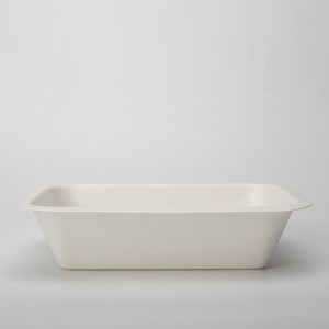 Wholesale Biodegradable Disposable Sugarcane Bagasse Pulp Meal Sushi Food Containers Trays