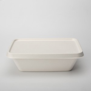 1000ml Wholesale Disposable Fast Food Pagkuha sa mga Packaging Container Tray nga May Lid