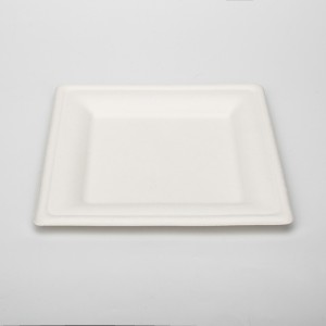 10-дюймовая белая квадратная одноразовая бумажная тарелка из жома сахарного тростника для формования целлюлозы
