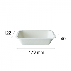 Wholesale Biodegradable Disposable Sugarcane Bagasse Pulp Meal Sushi Food Containers Trays