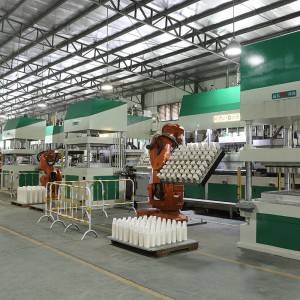 Venda quente para máquina de fabricação de talheres de celulose de bagaço no Extremo Oriente da China