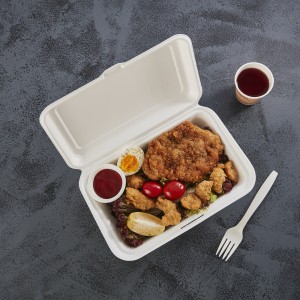 9 ″ x 6 ″ Öko-frëndlech Zockerrouer Bagasse Takeaway Bento Food Clamshell Lunch Box