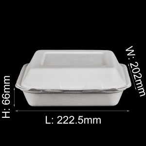8 "x 8" 3-Compartment Lag luam wholesale Biodegradable Disposable Take Out Sugarcane Bagasse Clamshell Food Containers Bento Lunch Boxes