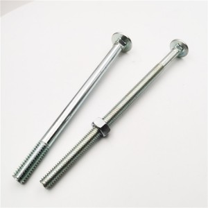 I-Stainless Steel Din 603 I-Flat Head Carriage Bolt