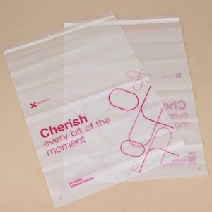 Biodegradable Frosted Poly Mailer Shipping Bag