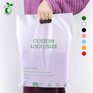 Disegnu di Logo Personalizatu Stampatu Biodegradable PLA + PBAT Carrier Punch handle bags