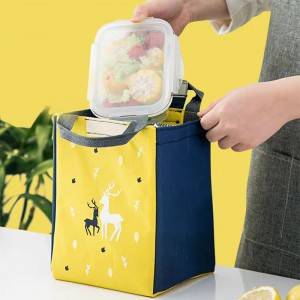 Nylon Outdoor Foldable Insulated Cooler Bag