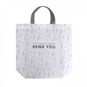 Ultrasonic biodegradable Laminated Non-woven Bags promotional shopping Custom printing