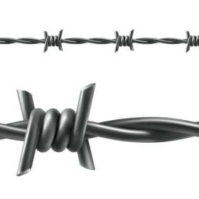 Double Twisted Barbed Wire