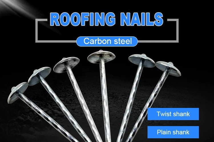 Roofing Nail With Umbrella Head