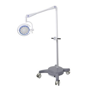 Examination Hot Sale Mobile Surgical Led Examination Lamp For Auxiliary Lighting