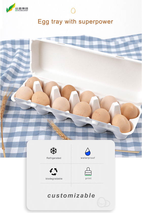 New Products! Compostable Egg Tray