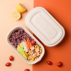 700ml Bagasse Salad Takeout Containers, Biodegradable Eco Friendly Take Out To Go Food Containers with Lids for Lunch Leftover Meal Prep Storage, Microwave and Freezer Safe
