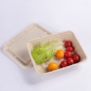 ZZ Eco Products 1200ml Rectangle Biodegradable Bagasse Food Container Lid