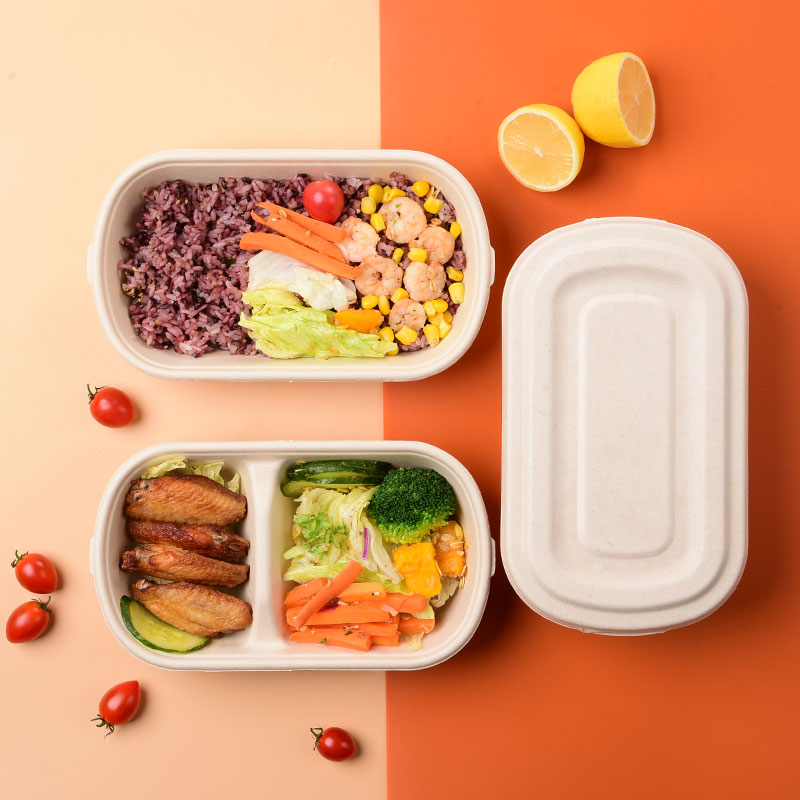 850ml Bagasse Salad Takeout Containers, Biodegradable Eco Friendly Take Out To Go Food Containers with Lids for Lunch Leftover Meal Prep Storage, Microwave and Freezer Safe Featured Image