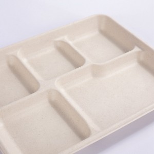 100% Compostable 5 Compartment 10*8 INCH Plates,Eco-Friendly Disposable Bagasse Tray,Heavy Duty School Lunch Tray