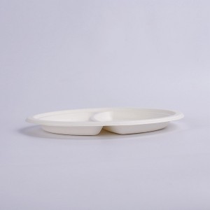 Eco-Friendly Large 9 Inch 2-COM Paper Round Plate – Natural Disposable Bagasse Plate –  Plate Made of Sugarcane Fiber