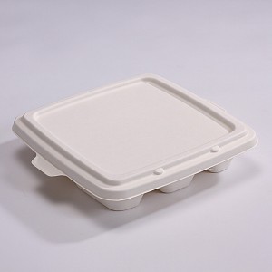 ZZ Eco Products Bagasse Lid-Fit SC-Container-500 count box