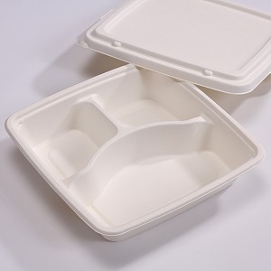 100% Compostable 3 Compartment 9*9 INCH Plates,Eco-Friendly Disposable Bagasse Tray,Heavy Duty Take-away School Lunch Tray
