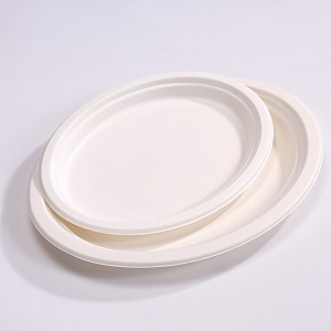 Eco-Friendly 10 Inch Oval Paper Plate – Natural Disposable Bagasse Plate –  Plate Made of Sugarcane Fiber