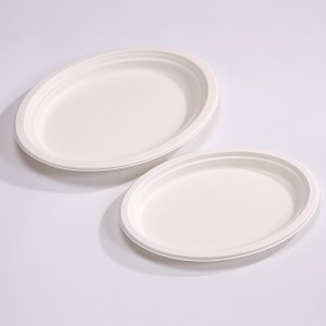 Eco-Friendly Large 9 Inch Paper Round Plate – Natural Disposable Bagasse Plate –  Plate Made of Sugarcane Fiber