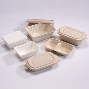 850ml 2-COM Bagasse Salad Takeout Containers, Biodegradable Eco Friendly Take Out To Go Food Containers with Lids for Lunch Leftover Meal Prep Storage, Microwave and Freezer Safe