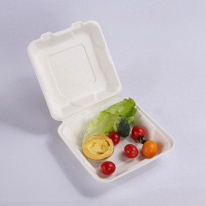 ZZ Biodegradable 8X8 Take Out Hinged Clamshell 200 Pcs. Microwaveable, Disposable Takeout Box to Carry Meals To Go. Great for Restaurant Carryout or Party Take Home Boxes