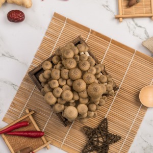 8 Anos Exportador China Brown Beech Mushroom