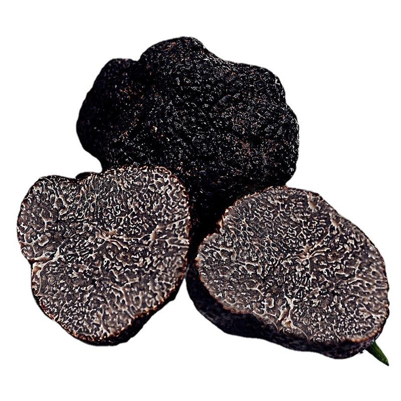 Wiled Fresh Black Truffle From China Ethnic Area Featured Image