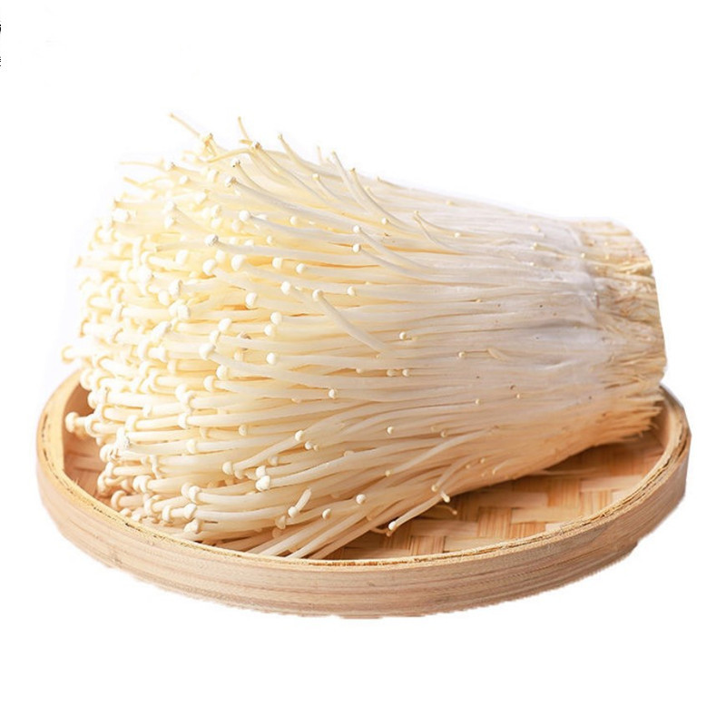 Most Welcomed Fresh Enoki Mushrooms From China Mushroom Factory Featured Image
