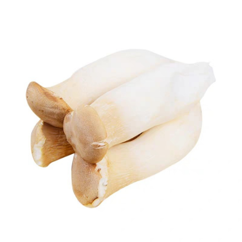 Fresh Type King Oyster Mushrooms Eryngii Mushrooms In Punnet Featured Image