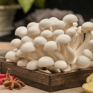 Funghi nutrienti di marca Finc Bunashimeji bianchi freschi