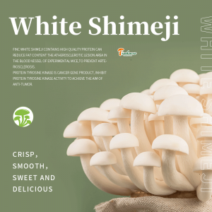 Finc Brand Hranjive gljive Bijele bunashimeji svježe