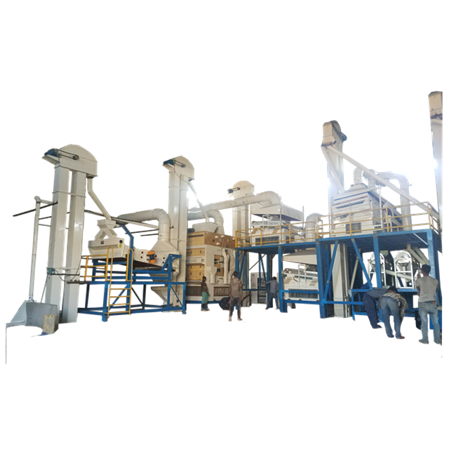 Grain and Bean cleaning plant