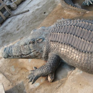 Crocodili statua aenea