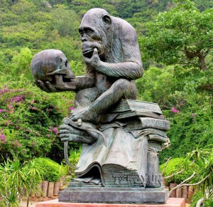 Brīvdabas dekoratīvā dzīvā izmēra bronzas pērtiķa skulptūra, kas sēž uz grāmatām ar galvaskausa pērtiķa statuju Gorillas skulptūra