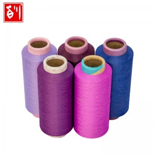 COSMOS™ Dope Dyed Polyester Yarn