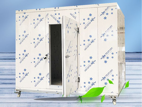 Still undecided about which type of cold storage should you buy?